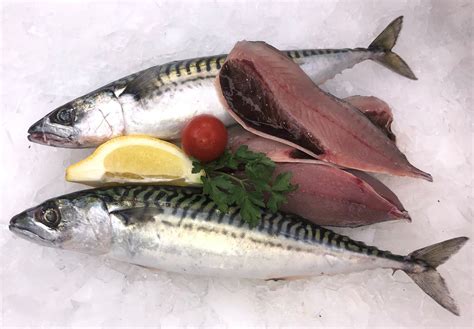 is mackerel high in omega 3